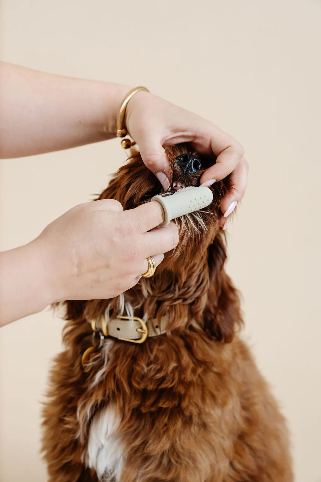 Pet Toothbrush